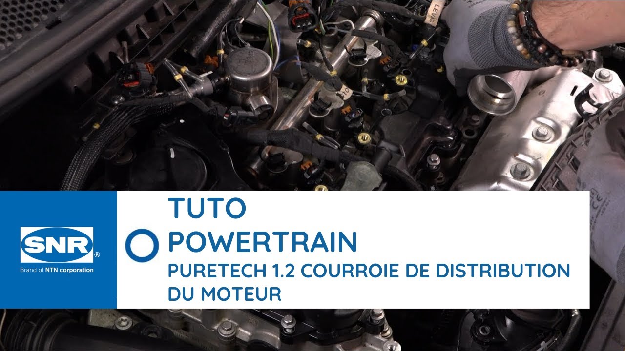 Exemple de courroie humide dans un moteur PureTech